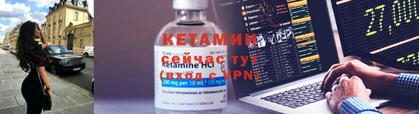 прущие грибы Гусиноозёрск