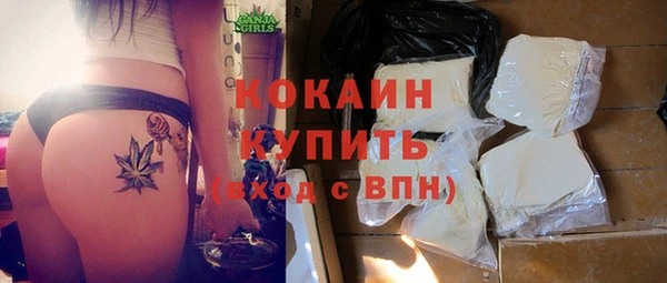 молекула духа Гусев