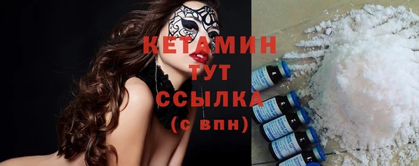 прущие грибы Гусиноозёрск