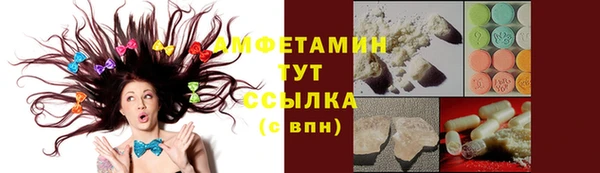 молекула духа Гусев