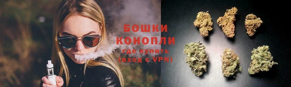 молекула духа Гусев