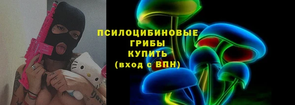 прущие грибы Гусиноозёрск