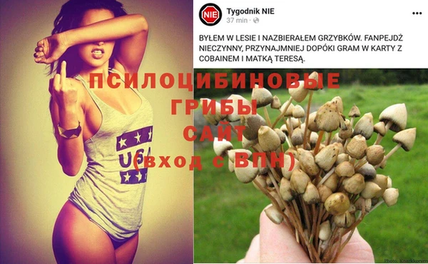 молекула духа Гусев