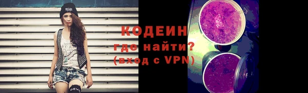 прущие грибы Гусиноозёрск