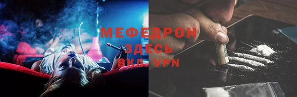 прущие грибы Гусиноозёрск