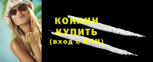 прущие грибы Гусиноозёрск