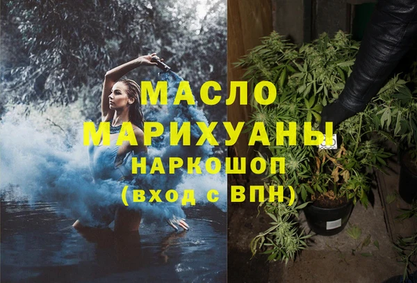 молекула духа Гусев