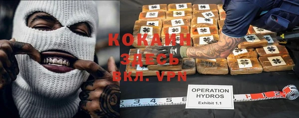 прущие грибы Гусиноозёрск