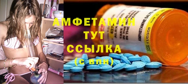 гашик Вяземский