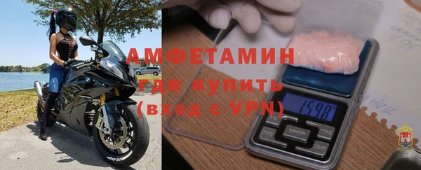 прущие грибы Гусиноозёрск