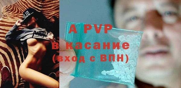 молекула духа Гусев