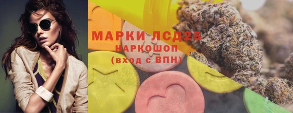 прущие грибы Гусиноозёрск