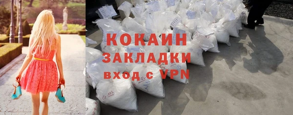 прущие грибы Гусиноозёрск