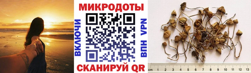 Псилоцибиновые грибы Psilocybine cubensis как найти закладки Южноуральск